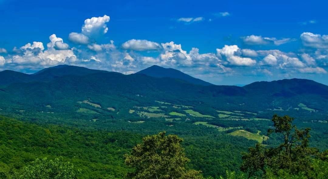 ByTheBayPhotos's tweet photo. Summer views over the Blue Ridge Mountains along the Blue Ridge Parkway.
#BlueRidge #BlueRidgeParkway #Virginia https://t.co/eS6oaxIl8R
