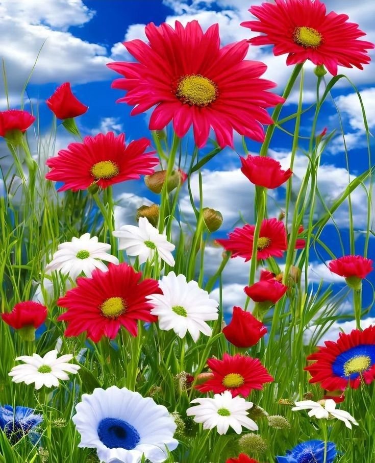 flowersworld298's tweet photo. https://t.co/t8iD0bn7KI