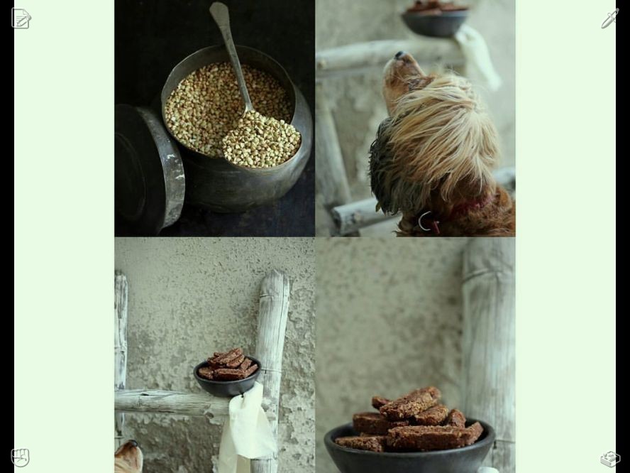 jendrawan's tweet photo. The cat drinks cold milk. In the afternoon, I will tour the Vatican Museums to see their extensive collection of art and artifacts, such as ancient sculptures, paintings, and tapestries that reflect history and culture.🚏 https://t.co/gjrcSkVRJZ