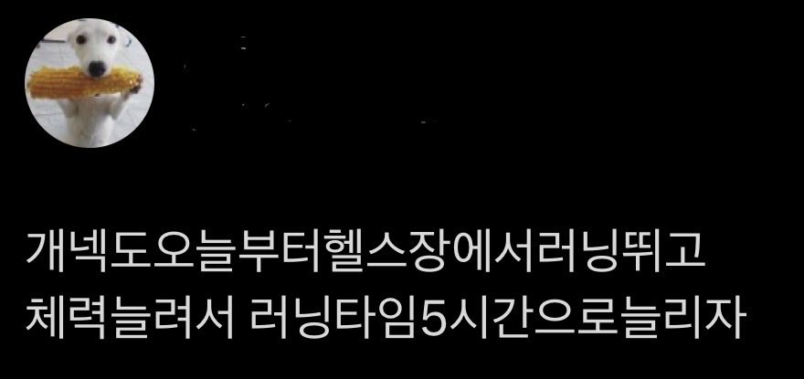 되지 tweet media