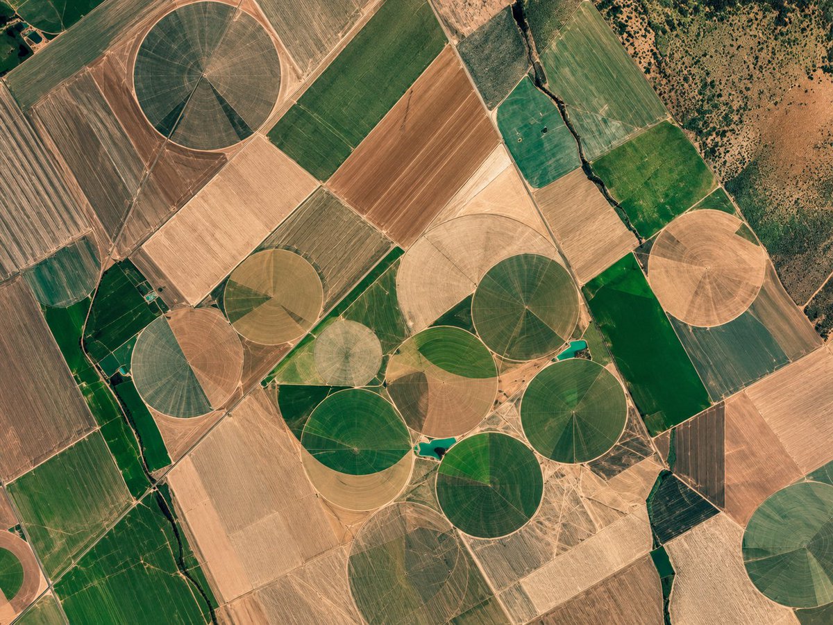 mapbiomas's tweet photo. Operações do crédito rural público em áreas com alertas de desmatamento somam 831 mil operações de crédito e R$ 92,4 bilhões desde 2019.

Acompanhe para entender mais! https://t.co/zyIrEe71yi
