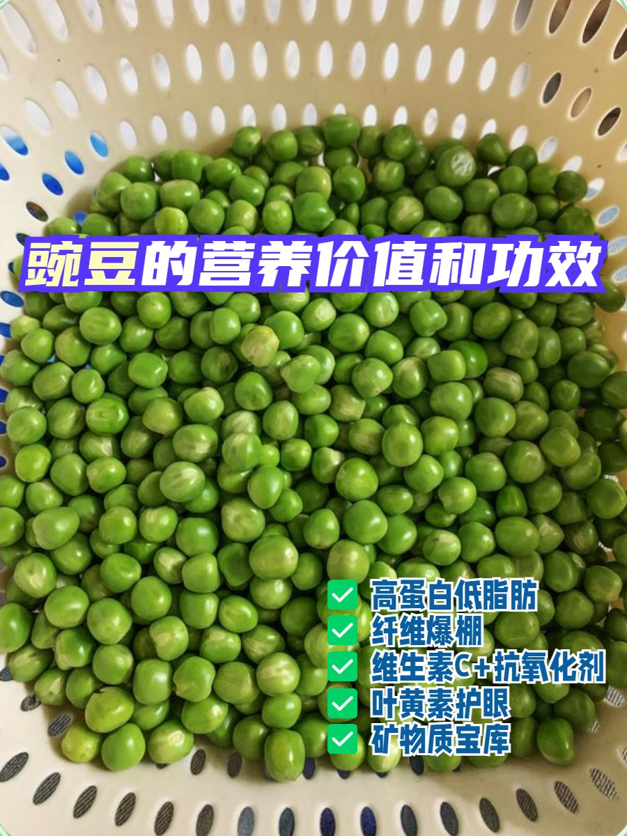 MirandaEva22972's tweet photo. Just found the best hidden gem snack: crispy wasabi peas that hit the perfect balance of spicy and crunchy  Grabbed a bag to share with my snack crew—who’s coming over for a bite https://t.co/x2NEfhYRJB