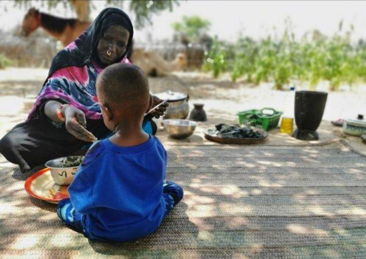 OmarHindaa's tweet photo. Chaque plat traditionnel me rappelle un moment en famille. ❤️🍲
La cuisine, c'est aussi des souvenirs.
#CuisineTchadienne #Food #Family #Culture https://t.co/sNRX1Ca5AV
