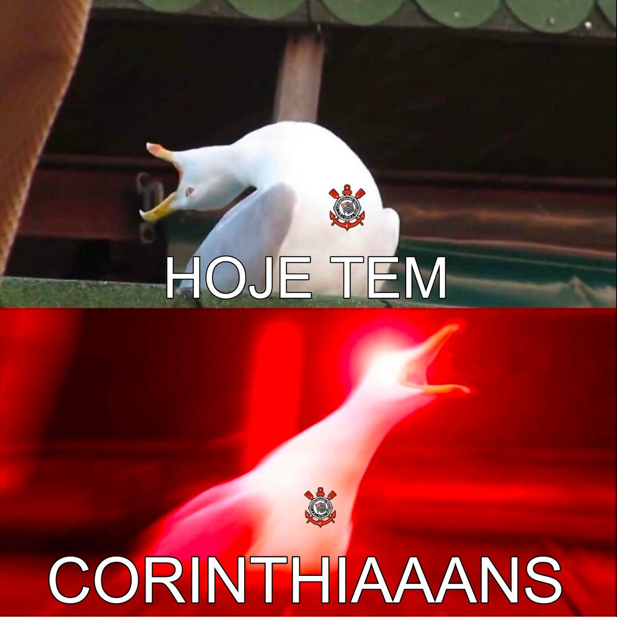 CamilizerSCCP's tweet photo. HOJE TEM CORINTHIANS FEMININO 🖤🤍🦅 https://t.co/ICDbFzm2tx
