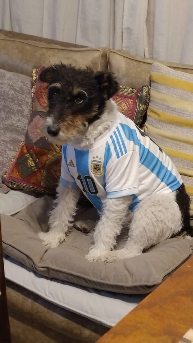 LiderSuprema_'s tweet photo. Fea no soy yo...
Feos son ustedes. https://t.co/6Ni3mo3mVx