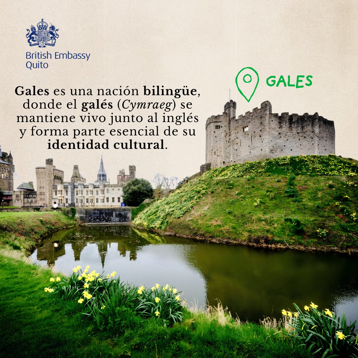 UKinEcuador's tweet photo. ¿Sabías que el #ReinoUnido está formado por cuatro naciones con identidades, tradiciones e historias únicas? 🇬🇧
Te invitamos a conocer más sobre estos lugares en nuestra #CápsulaCultural. ✨
Cuéntanos cuál es tu favorito en los comentarios. 

#UKinEcuador #ReinoUnido #CápsulaCultural #GREATBritain