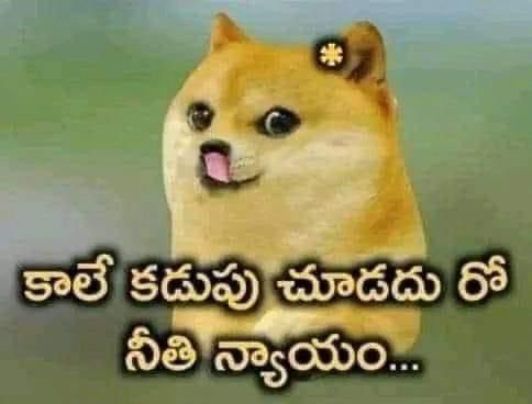 multimemes18's tweet photo. @RsvRebel Pakodi be like: https://t.co/tWdmuiGBnF