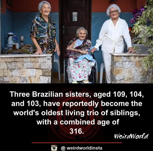 StarChildSJ's tweet photo. Three sisters Levita (109), Zoraide (104), and Zulina (103), have become the world’s oldest living sibling trio, with a combined age of 316 years. Their incredible lives span wars, historic changes, and generations of memories, earning them a place in Guinness World Records https://t.co/OCM3vaerrW