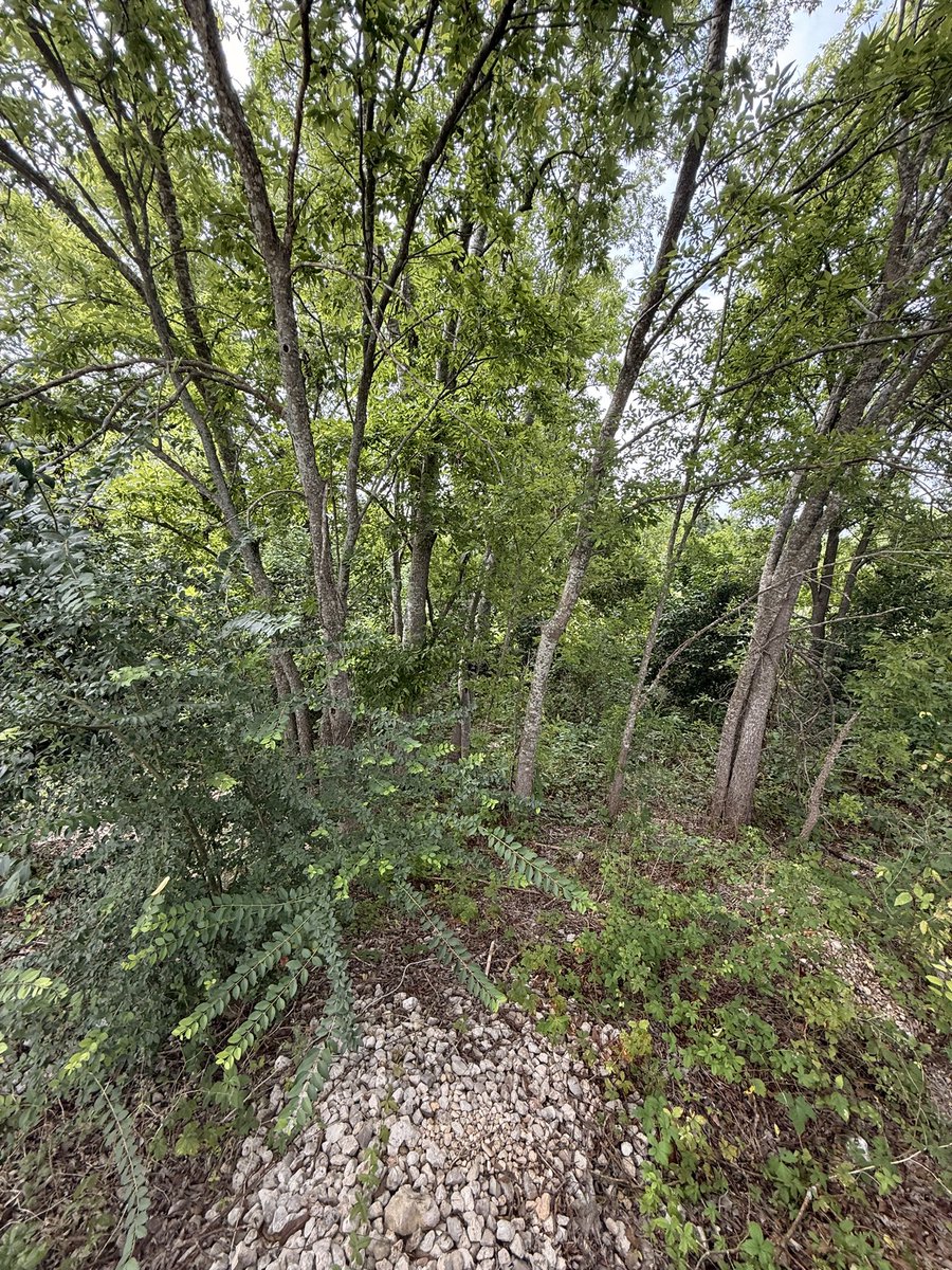 roflcookie's tweet photo. #geolocated https://t.co/l3UIEIWstb