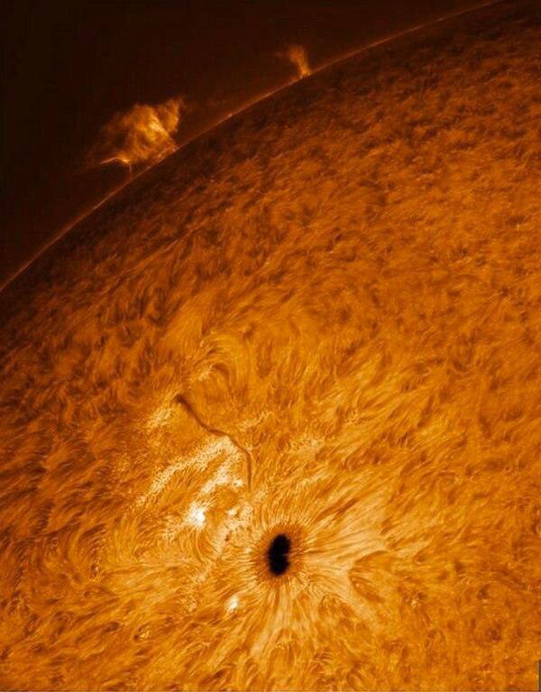 konstructivizm's tweet photo. English photographer Paul Andrew has unveiled a series of remarkable images of the Sun's surface 🔭

According to the 66-year-old Kent resident and photography teacher, the images were captured in his own garden using a Lund 152 telescope. https://t.co/8ztxeRiV27