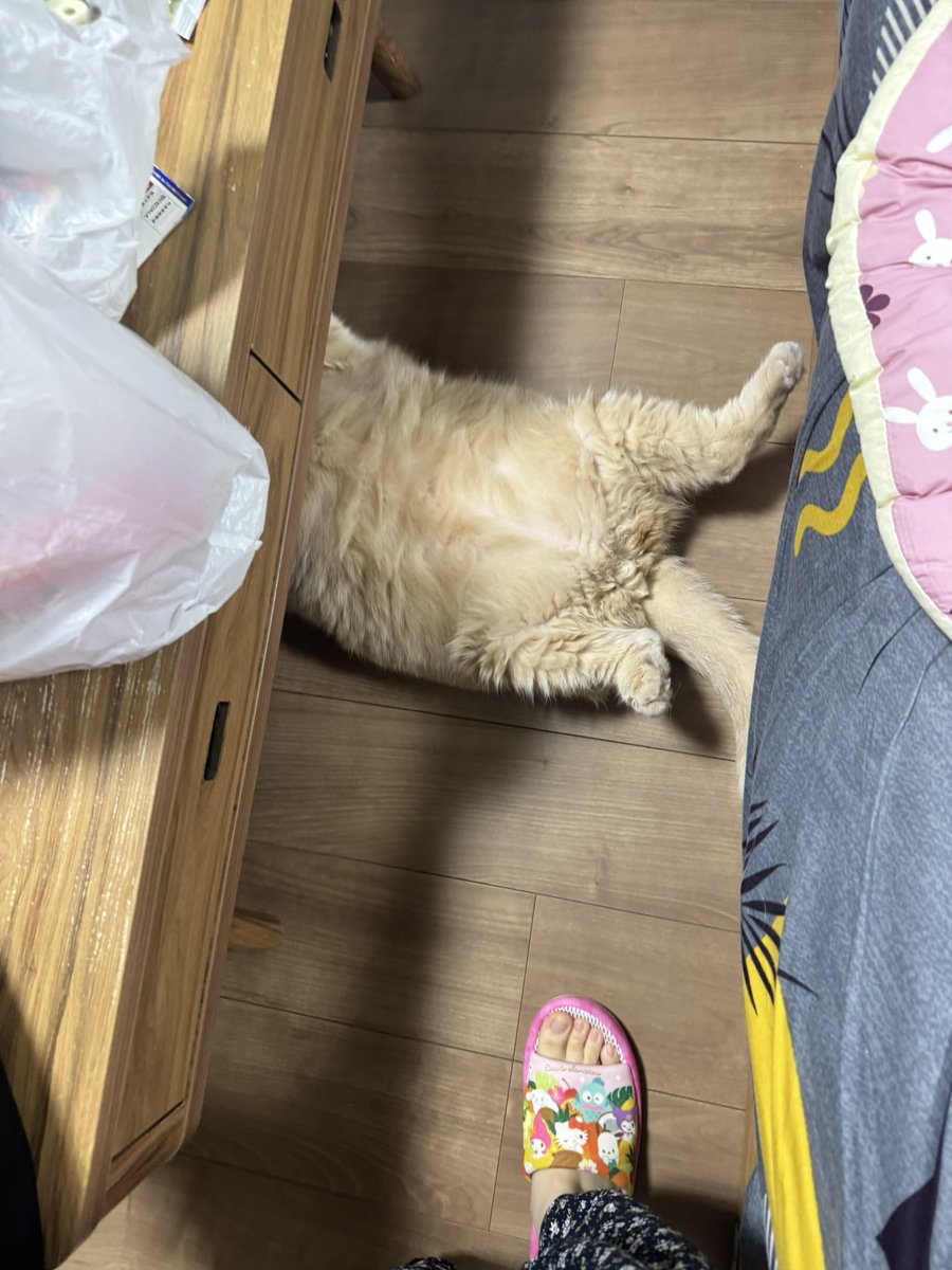 tuminami's tweet photo. この体勢はなんのためにやってるの？
大事なところが丸見えなんだけども。 https://t.co/C3KhSCD31e