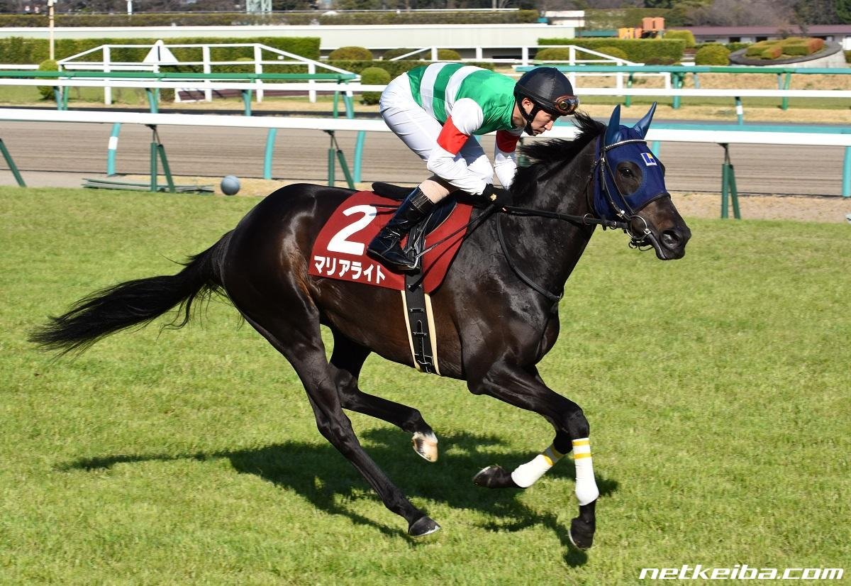 Kanare_rin's tweet photo. Our horse of today after forgetting.....

Marialite!

With 6 wins in 20 starts, she was a late bloomer who missed the classics but was placed well in multiple allowance races. In the 2016 Takarazuka Kinen, carrying a QEII Cup win, she prominently ran against the best colts of https://t.co/SZYqgppzct