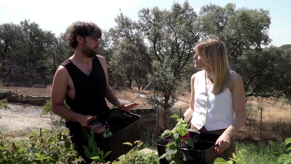 aquilatierratve's tweet photo. ¿Qué receta nos prepara hoy Ainara? ¡El ingrediente principal son las frambuesas! 🍓🙈

¡No os lo perdáis! Esta tarde, a partir de las 20:25h en #AquílaTierra en @La1_tve y @rtveplay 😉 https://t.co/oKZGbeK1xm