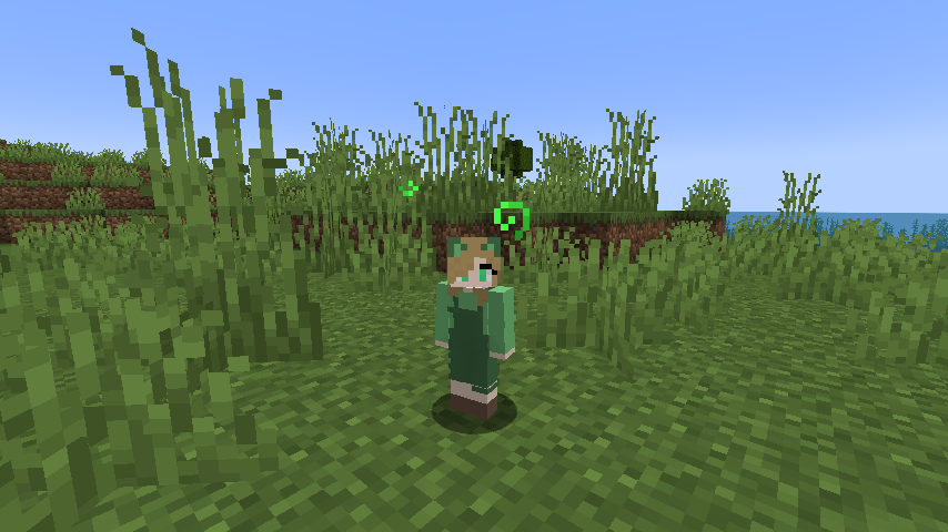 Little Guy SMP 🐀 APPS OPEN tweet media