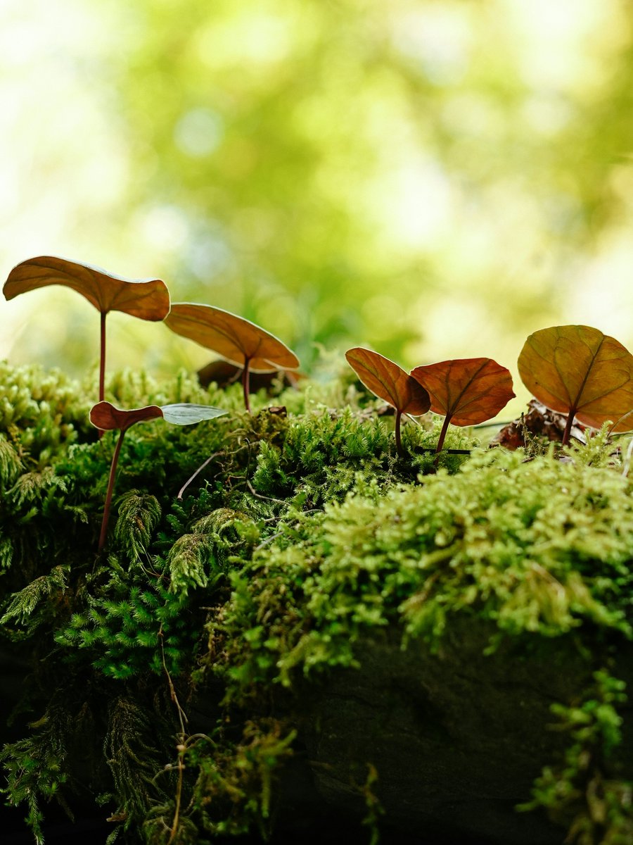 NATURE_f33l's tweet photo. https://t.co/yL9NdOqe9i