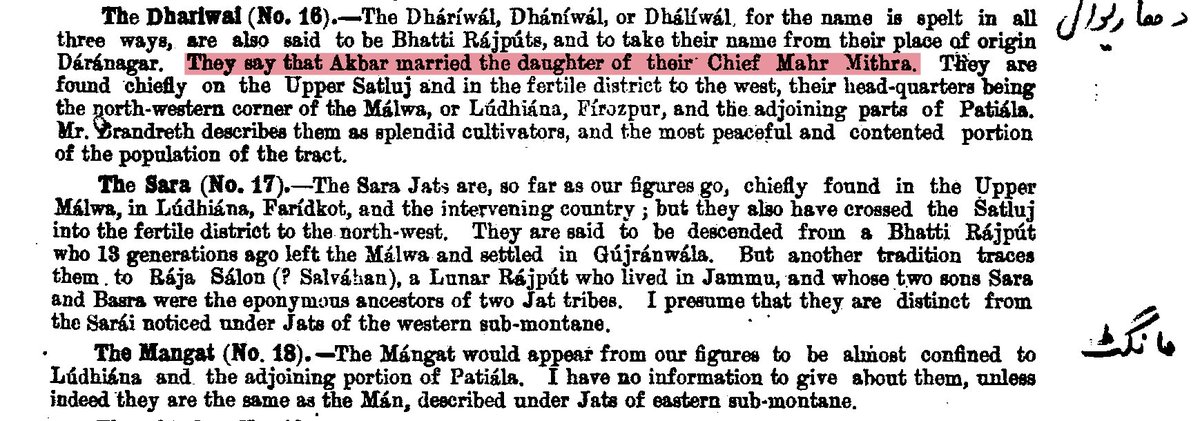 Muslim Rajāputra tweet media