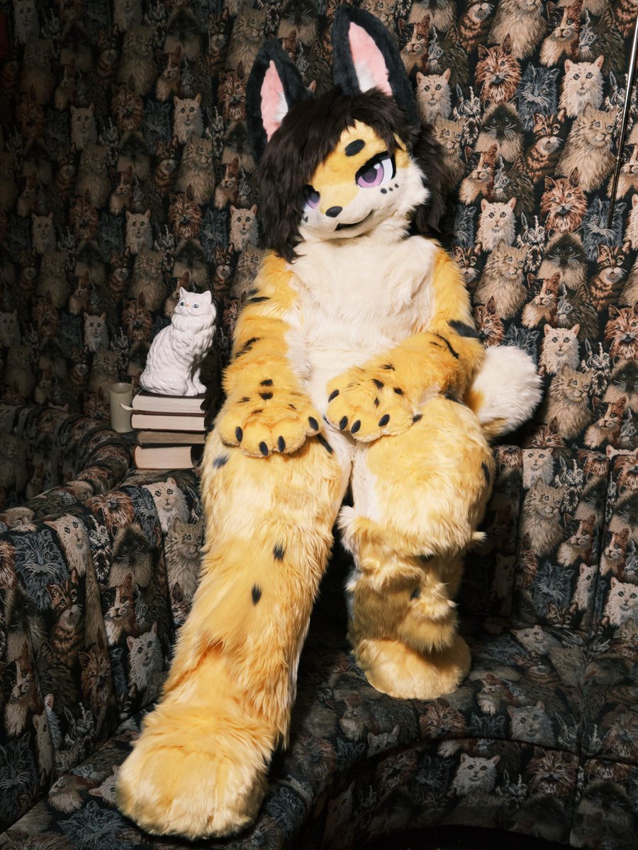 KittyLonglegss's tweet photo. Kitty cat lounging at the bar 🐱 

#fursuitfriday https://t.co/lrJZWRWVON
