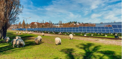 dialecsost's tweet photo. La Comissió Europea publica un conjunt d'eines per augmentar la participació ciutadana en projectes d'energies renovables https://t.co/03LmSv46EU https://t.co/5kqB9sZQcB