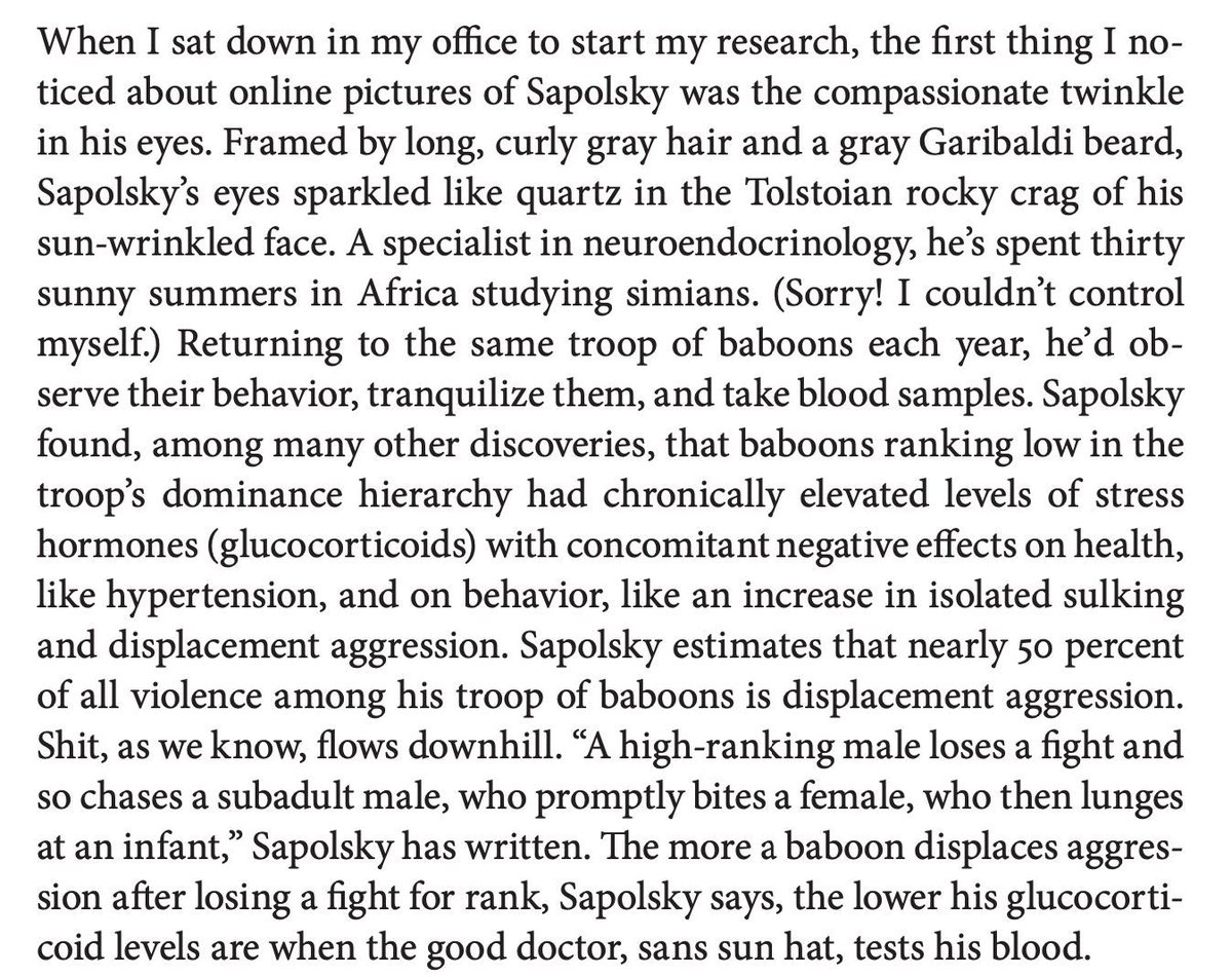 davidjfrost's tweet photo. The @Missouri_Review just published my essay, "Sleepwalking Towards Bethlehem." Check out these jpegs of excerpts too. https://t.co/nm2n9eTphk https://t.co/0OL7kc7Tkw