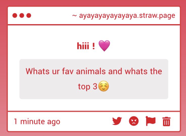 shiigeru's tweet photo. my top 3 fav animals are cheetahs, cats, bunnies!! https://t.co/6LDdcZkK6k