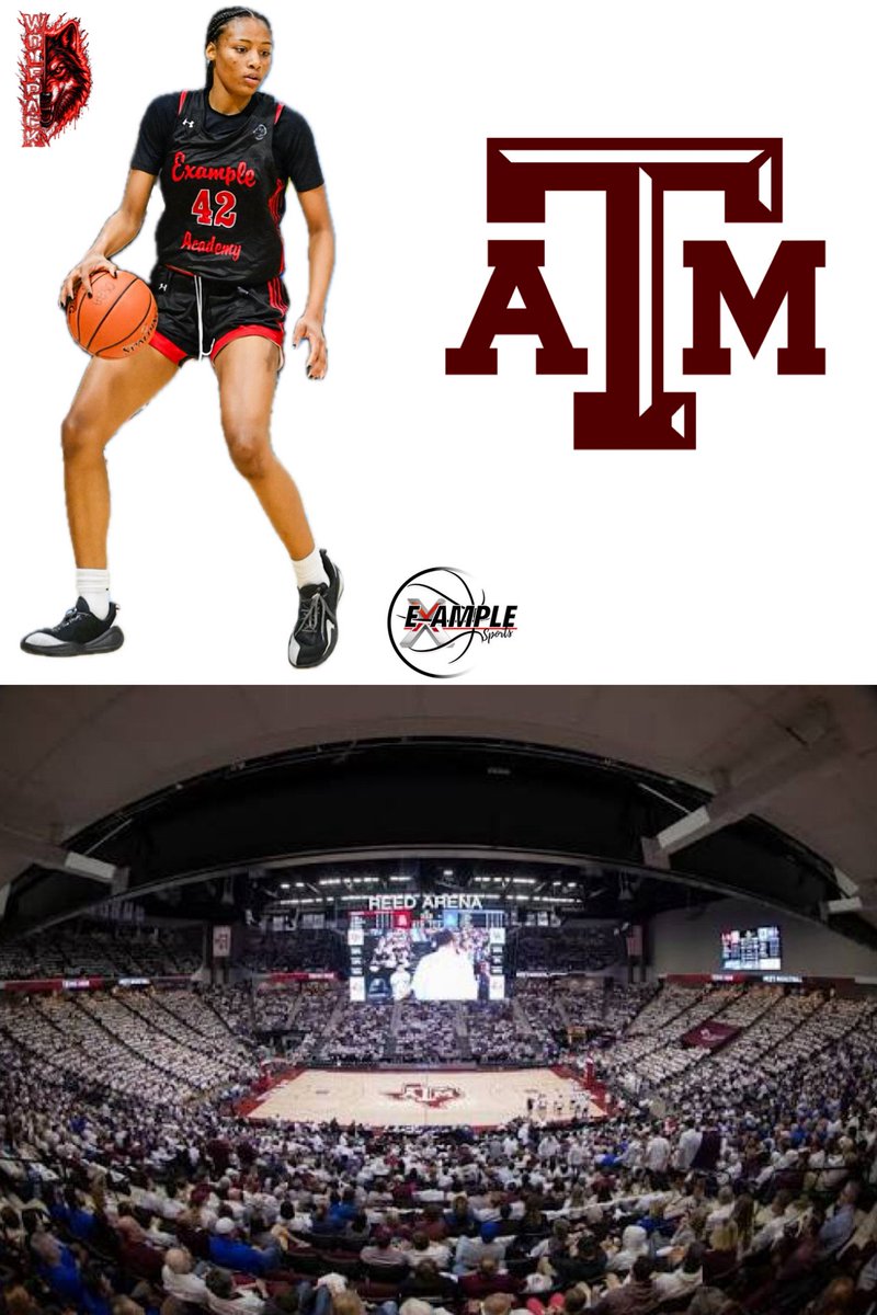 Example Sports AAU tweet media