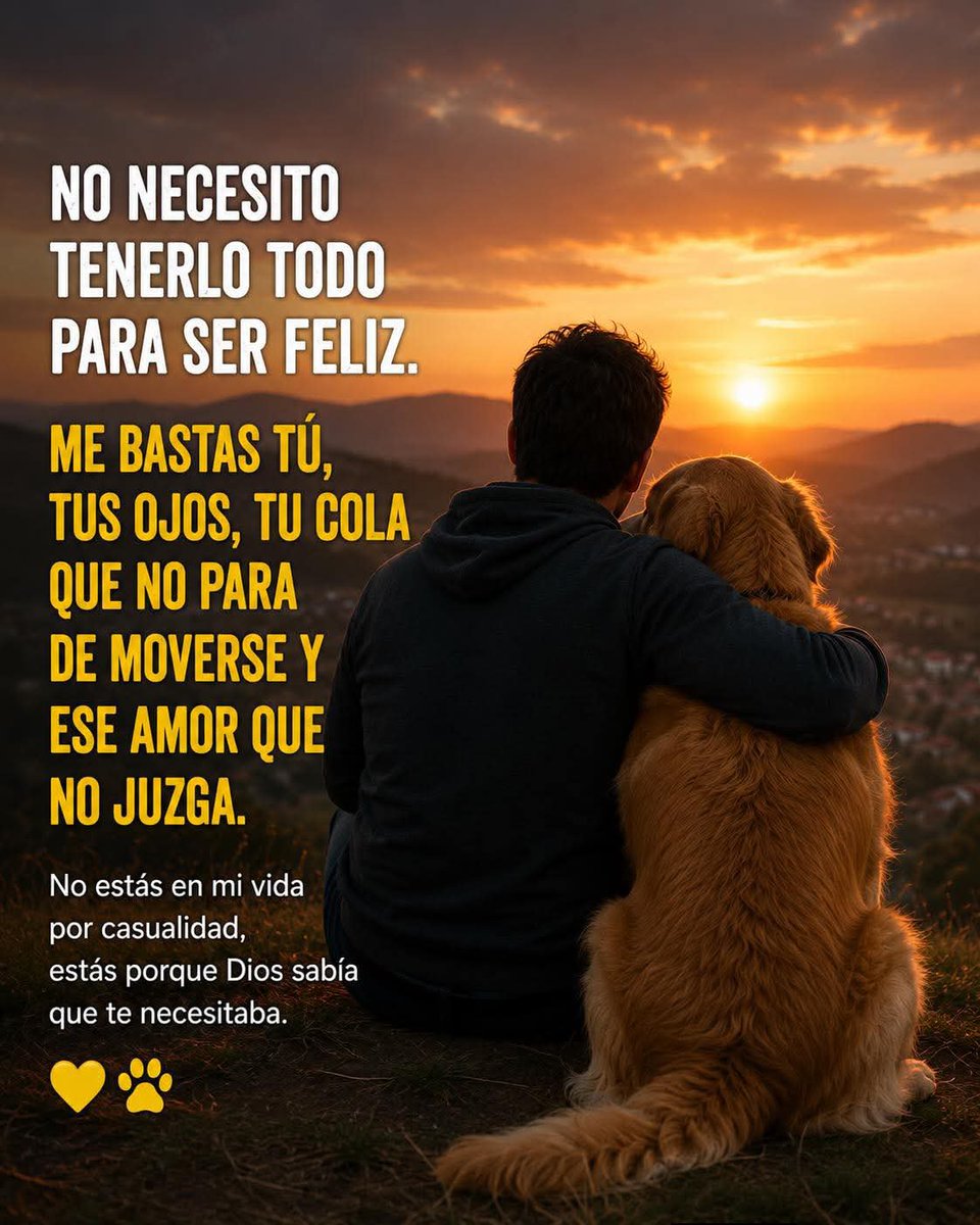 GRamirezF_D12's tweet photo. Hay días en los que el mundo pesa demasiado...

Y entonces él se sienta a tu lado, mueve la cola y sin decir una sola palabra, hace que todo se sienta un poquito mejor. ❤️

Ojalá nunca dejemos de valorar a quien siempre está cuando más lo necesitamos. 🐾🐶 https://t.co/5AXJB1pdIs