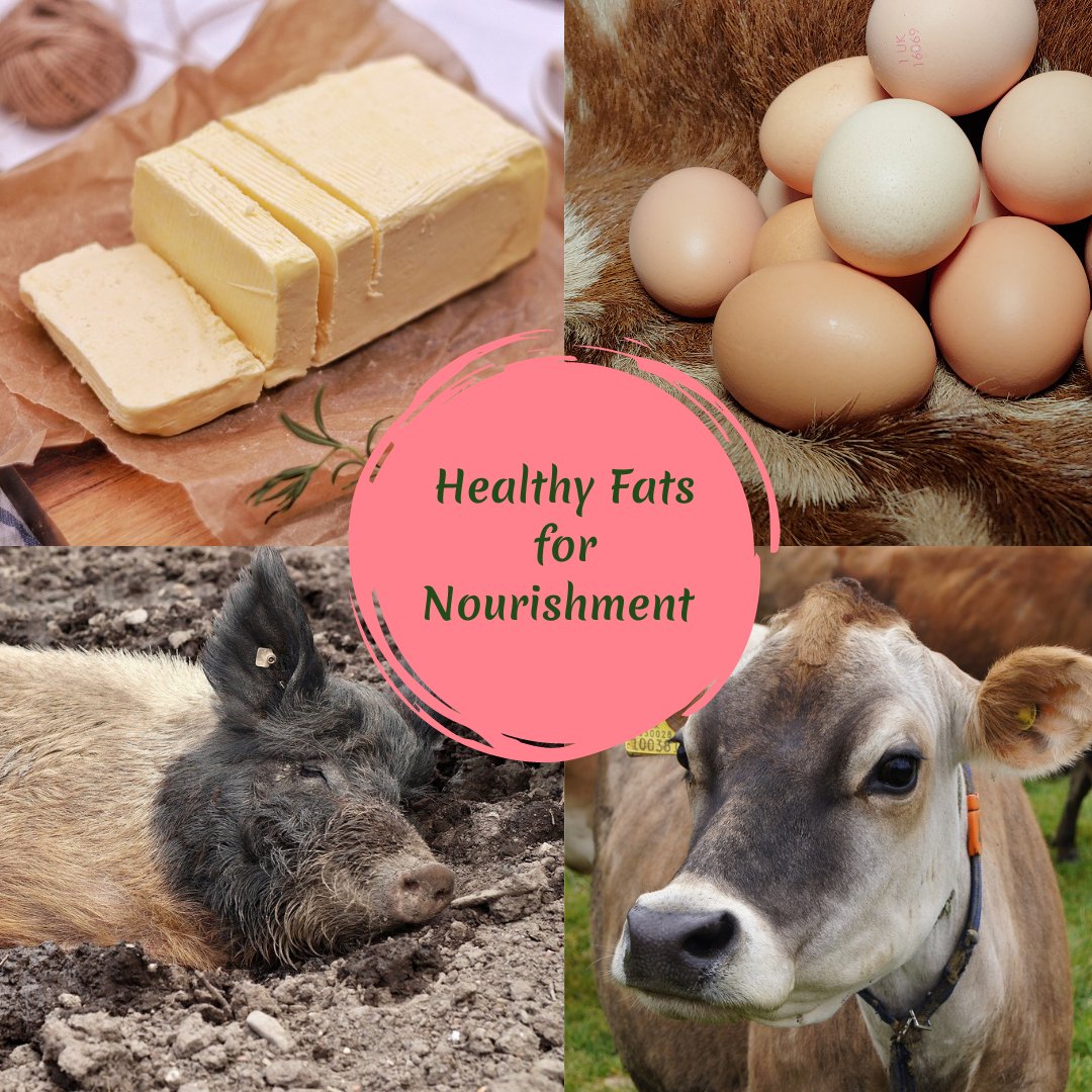 CLHealthCoach's tweet photo. FREE mini-course! 🚀
Healthy Fats for Nourishment – 5 lessons.
Available for a limited time.
Enrol here ➡️ https://t.co/NURg9vSSpA https://t.co/hNGZdQLzty