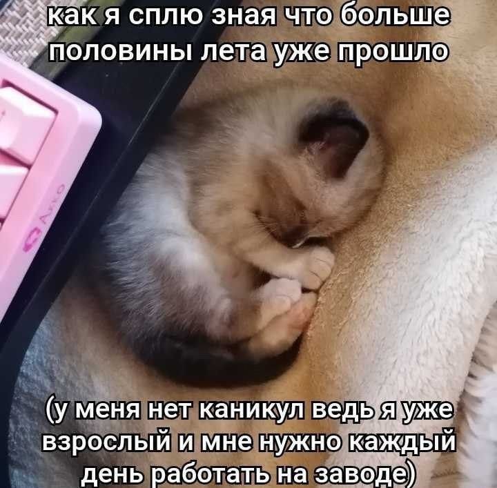 catsilcats's tweet photo. https://t.co/XoovTW6ujY