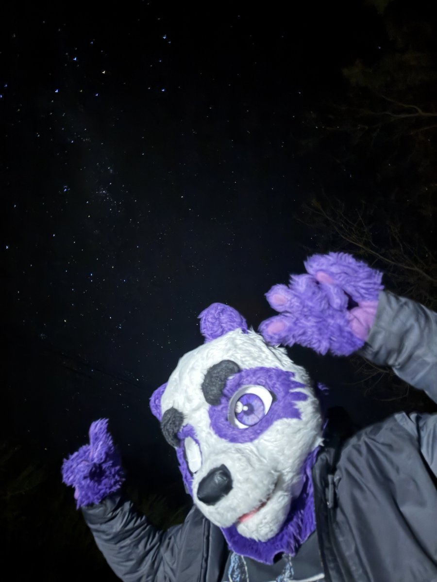 pipomordare's tweet photo. Esa noche las estrellas estaban preciosas🤩 La foto no le hace honores🌃✨️

📸: @Chir0e 

Tags:
#Furros #Furry #FurryFandom #Fursuit #FursuitFriday https://t.co/12qKYxksXA