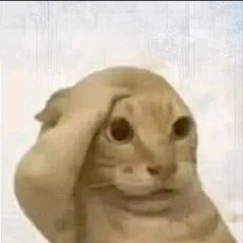 0xCentage's tweet photo. When you want entry but it keeps going up https://t.co/AL4JS3rv7f
