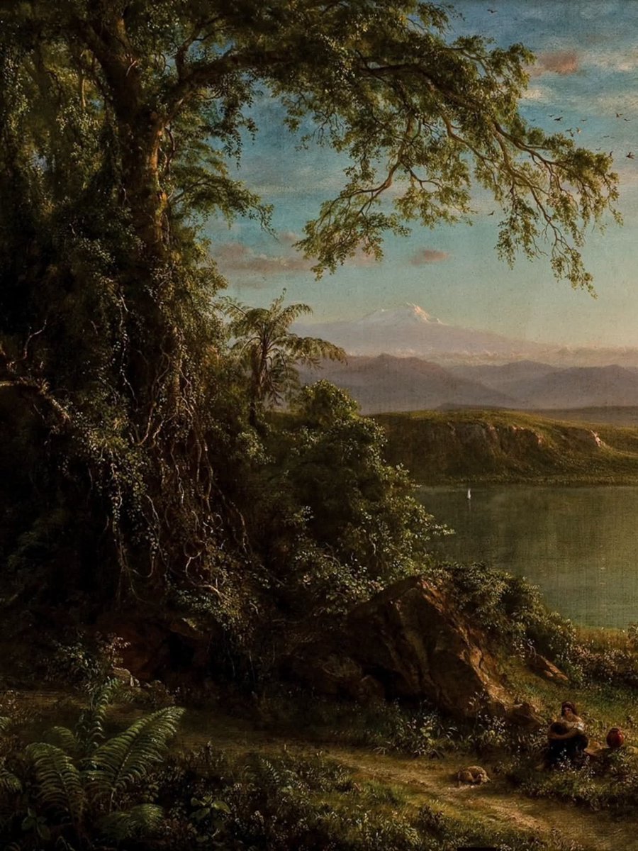 Amblojiggy's tweet photo. Morning in the Tropics, (1872). By Frederic Edwin Church (1826–1900). Oil on canvas, 118.1 cm x 73 cm

📍Museo de Arte de Ponce  

Apply for our painting courses!
Link in Bio Art History 

#academicpainting #classicpaintings #classicart
#nocturnal #arthistory https://t.co/gasZhmzSXI