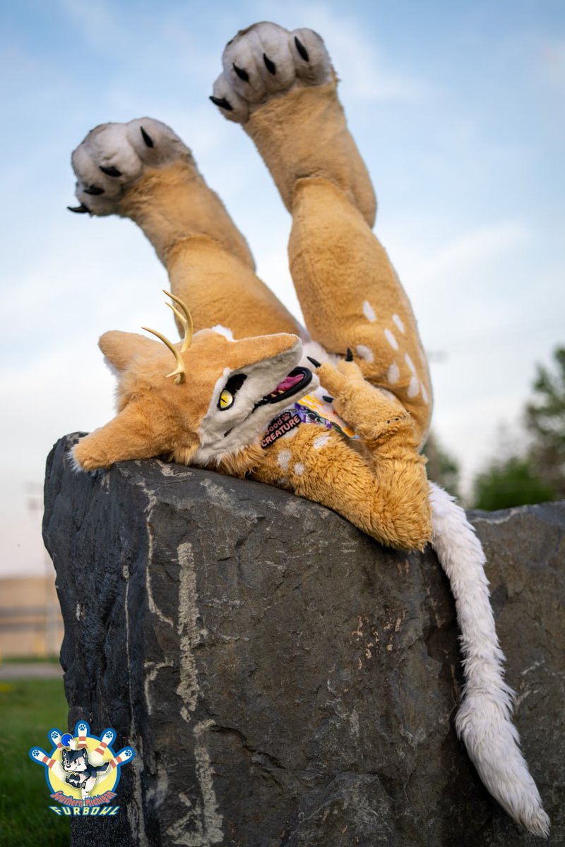 JackTheDeergal's tweet photo. Hope you beautiful creatures are having a great #FursuitFriday !!
📸 @Skarth https://t.co/1HoBTA2eFv