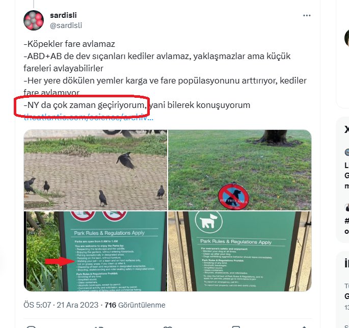 kutaycildirr's tweet photo. @halktvcomtr @ibrahimkaya89 Hayvan düşmanlığı artık abartılar, bakalım seçim zamanı ne yapacaklar, bu köpek düşmanı çetenin trollerinde oy isterler artık. https://t.co/spaHIf5sah