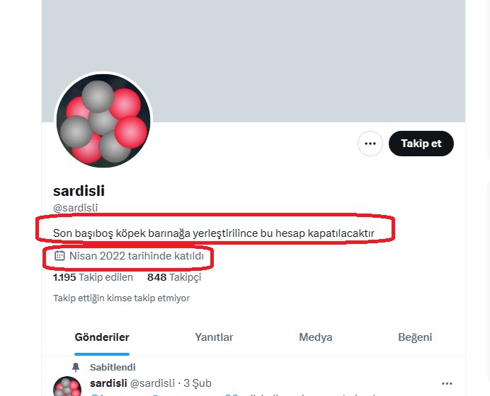 kutaycildirr's tweet photo. @halktvcomtr @ibrahimkaya89 Hayvan düşmanlığı artık abartılar, bakalım seçim zamanı ne yapacaklar, bu köpek düşmanı çetenin trollerinde oy isterler artık. https://t.co/spaHIf5sah