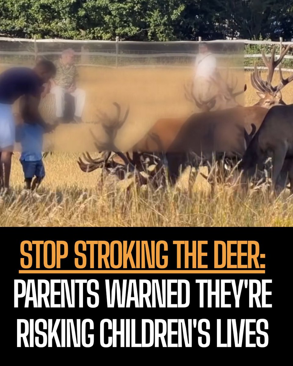 Protect the Wild tweet media