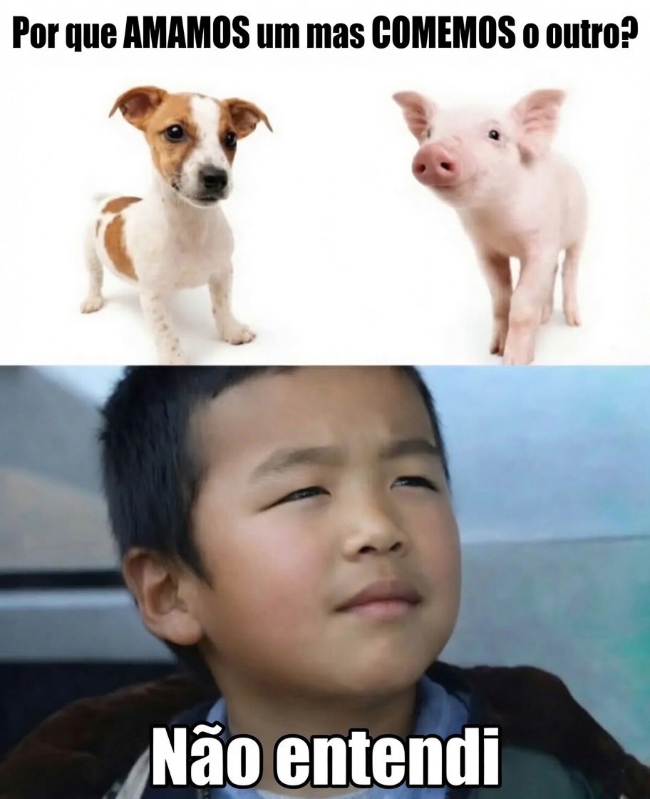 Resenha Light tweet media