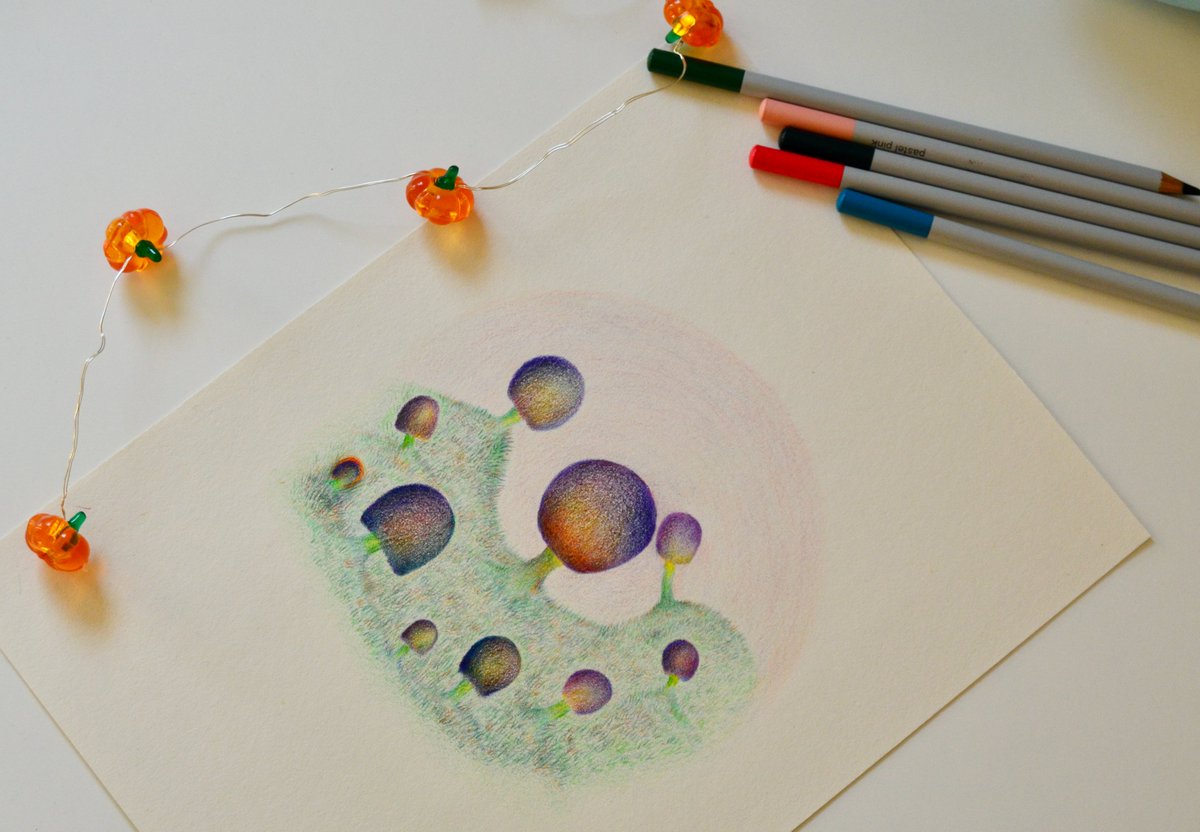 fatmagulerart's tweet photo. Into the wild #dreamy #mushrooms #nature #colouredpencil #drawing #art https://t.co/1w7uPxA7AE
