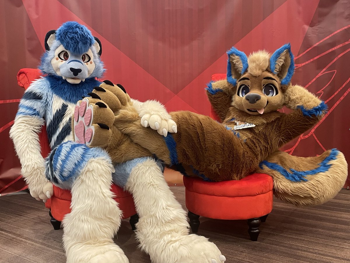 Axcium_'s tweet photo. We’ve been expecting you >:3c
#FursuitFriday https://t.co/CLZSQKi66v