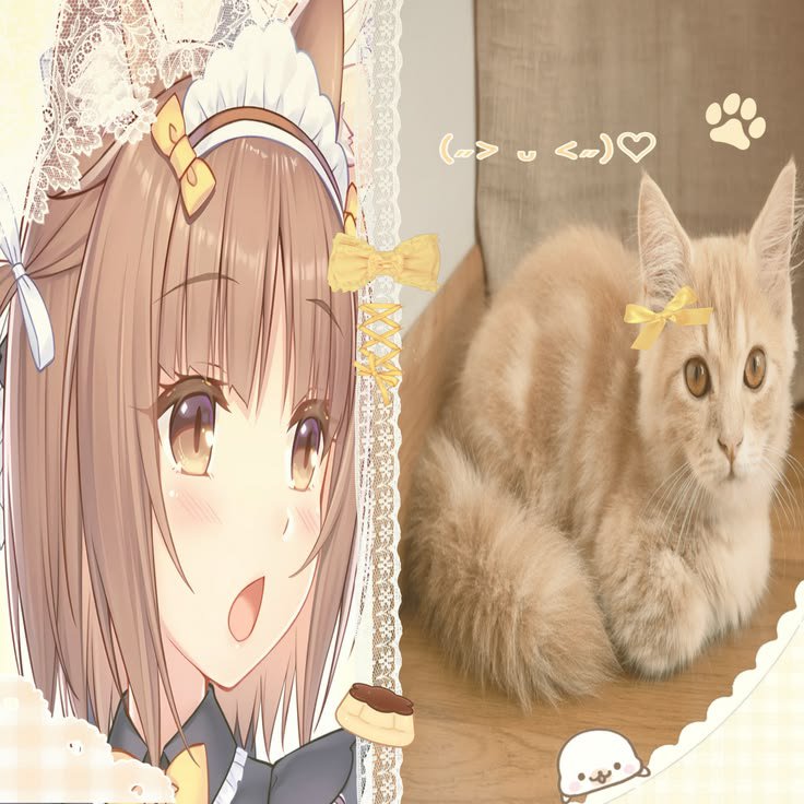 ꒰ঌ 𝑨𝒏𝒈𝒆𝒍 ୭ ᵎᵎ 🐾 tweet media