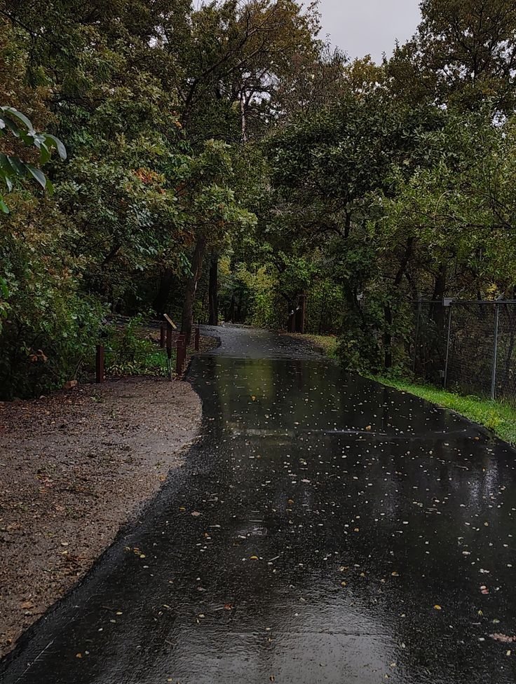 lifeaholiccc's tweet photo. Rains Autumn weather https://t.co/CRniTwwi1A