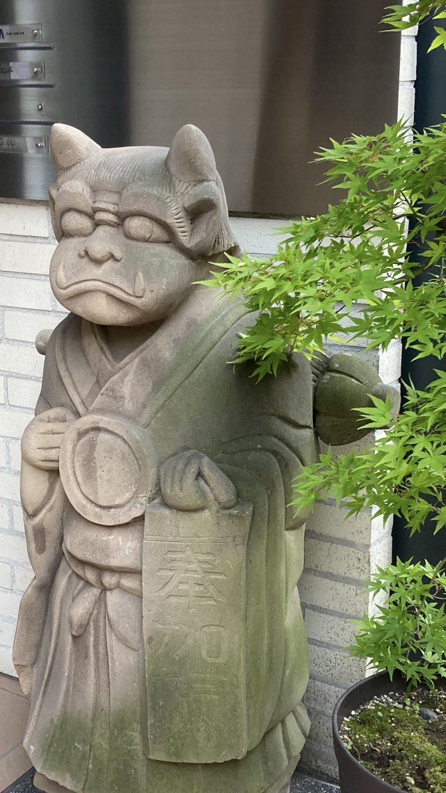 hatahata0805's tweet photo. 今年初の水茄子🍆
観葉植物🪴
この真夏
こせるかな⁇ https://t.co/xJ5gqLFt4C