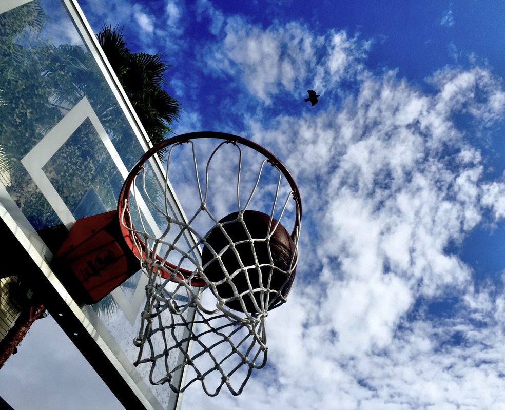 cbtweak's tweet photo. Backyard hoops - get prints and more at: 
https://t.co/BRfbVZhsLV  
#basketball #summerleague #nba #backyardhoops #backyard https://t.co/UT78qgNKIN