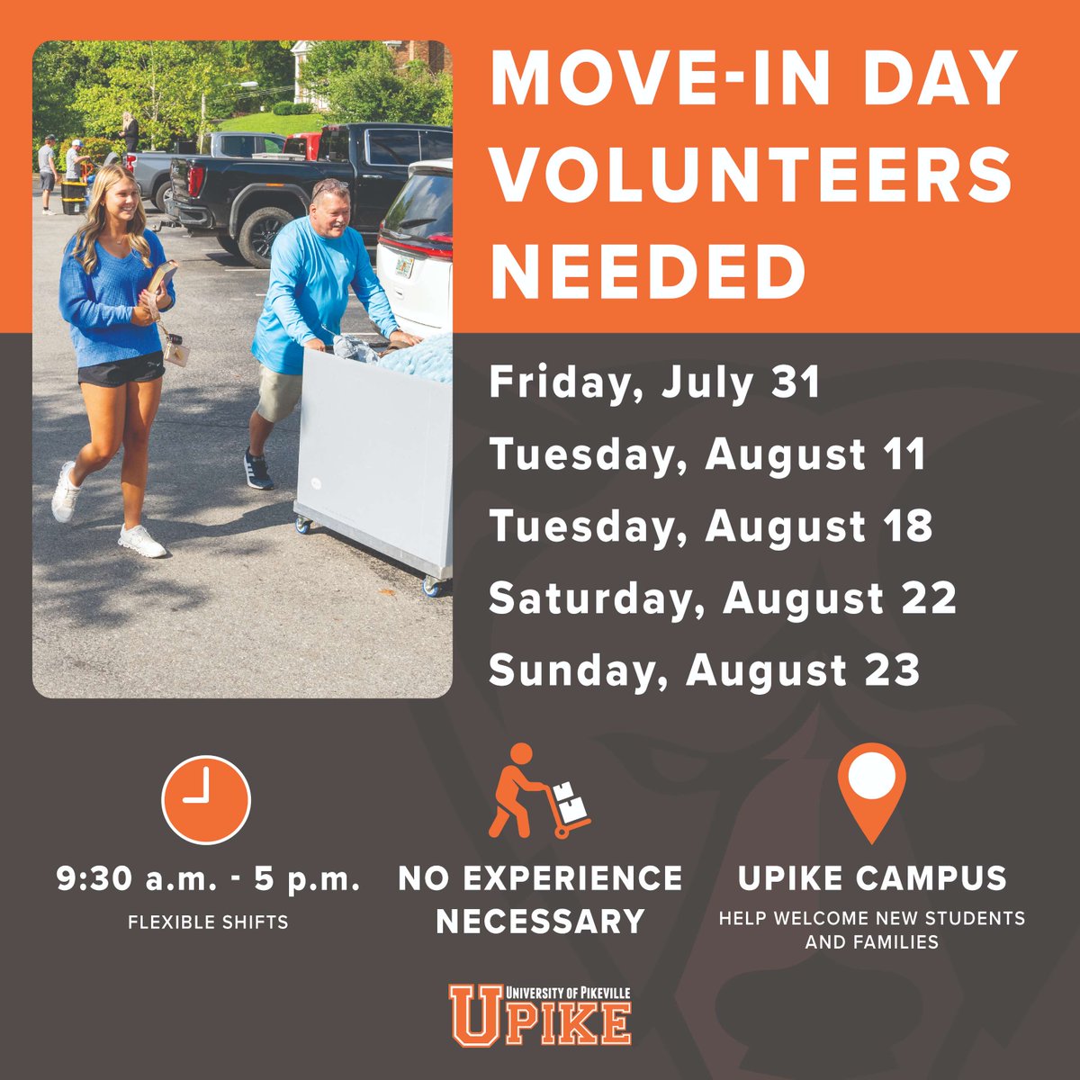 UPIKE 🐻 tweet media