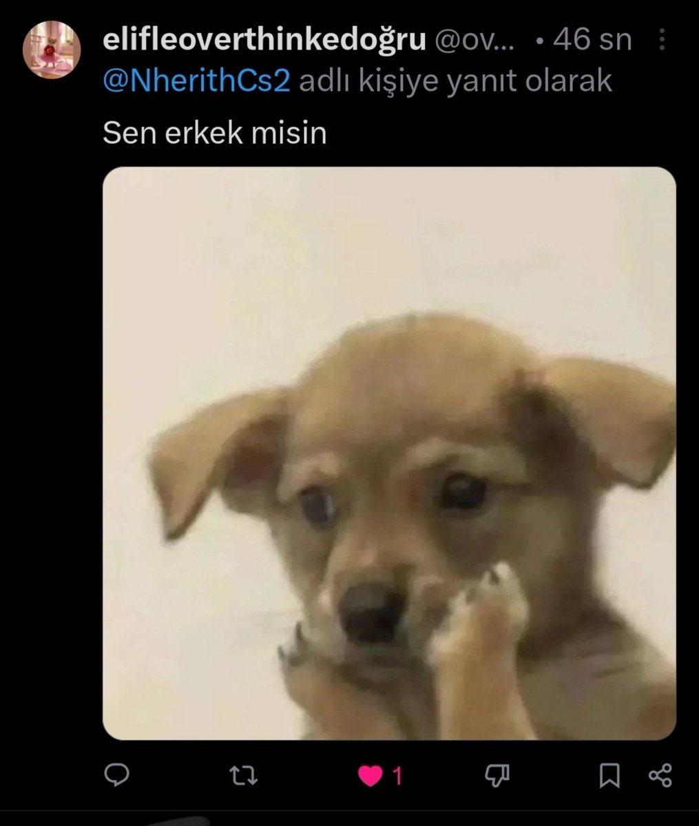 Godtier tweet media