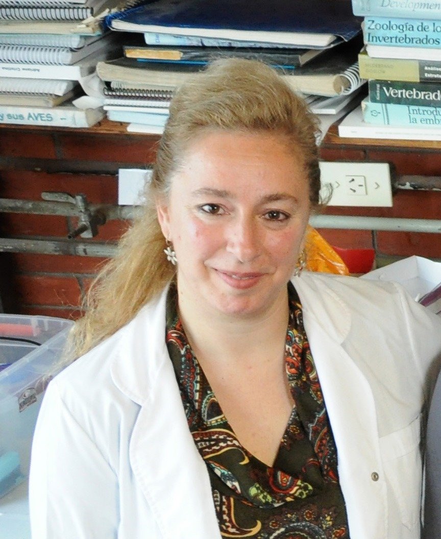 Exactas_UBA's tweet photo. Con profundo dolor informamos el fallecimiento de Laura López Greco, ocurrido ayer, a los 58 años.

Laura fue profesora titular del Departamento de Biodiversidad y Biología Experimental, Investigadora Superior del CONICET y ex directora del Instituto de Biodiversidad y Biología Experimental y Aplicada. Especialista en anatomía, histología y biología marina, dedicó gran parte de su trayectoria al estudio de los crustáceos decápodos, entre ellos cangrejos, langostas y camarones.

Quienes compartieron con ella su labor destacan sus invaluables aportes al Departamento, su compromiso con la docencia y su dedicación a la formación de recursos humanos.

Su incansable trabajo la convirtió en una referente internacional en el estudio de la biología de los crustáceos y la llevó a ocupar los más altos cargos en el sistema científico y universitario de nuestro país.

Acompañamos a sus seres queridos y colegas en este doloroso momento.