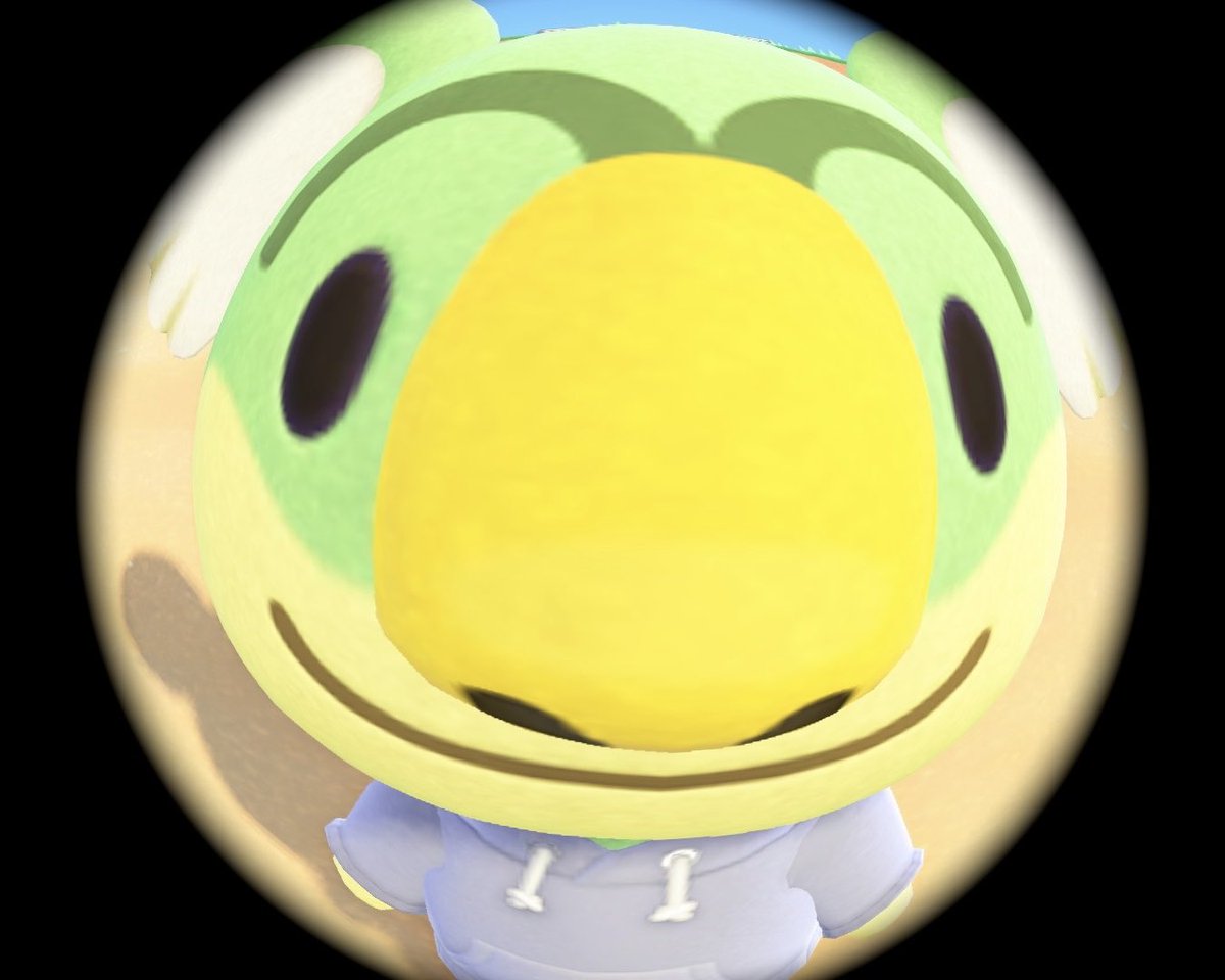 uhmin_demon's tweet photo. 魚眼機能が神すぎる
うんこは私だしThis manみたいになったのはあつ森の公式住民です 名前はまゆげ https://t.co/wRdXkAM9pL