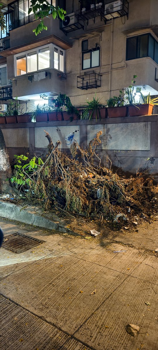 smanitj's tweet photo. @mybmc @mybmcWardA @HNarwekar since so many days these branches are lying even the leaves have dried but no one has came to pick it up. It's at 77, Patan Jain Bldg No 2, Marine Drive, F Road. Please get it cleared asap https://t.co/Mmhc9MSXeW