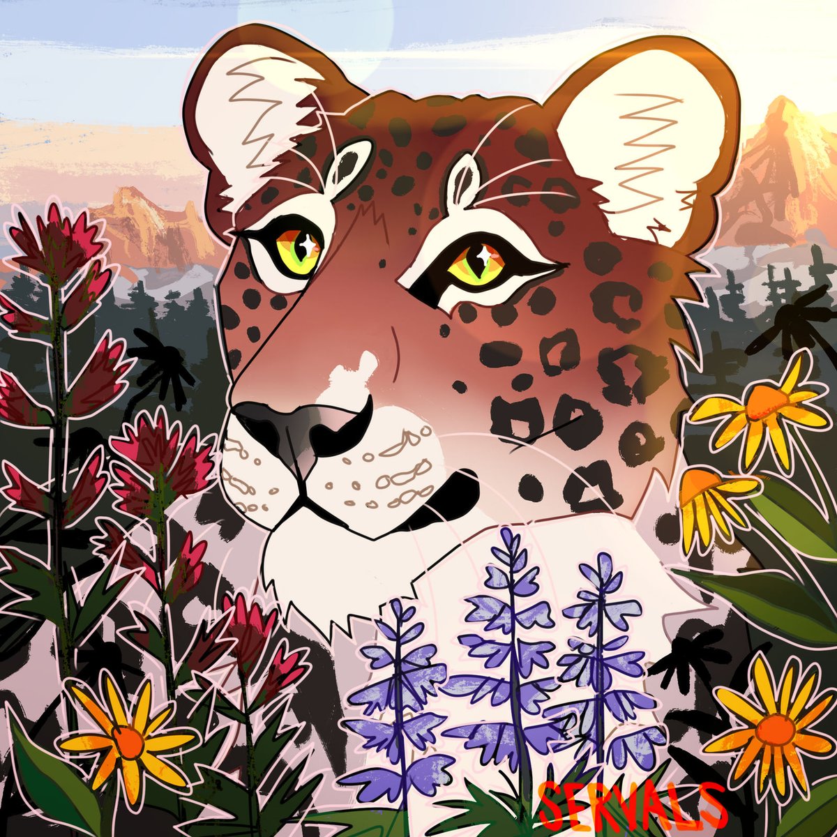 servals 🌿🏞️🌻 tweet media