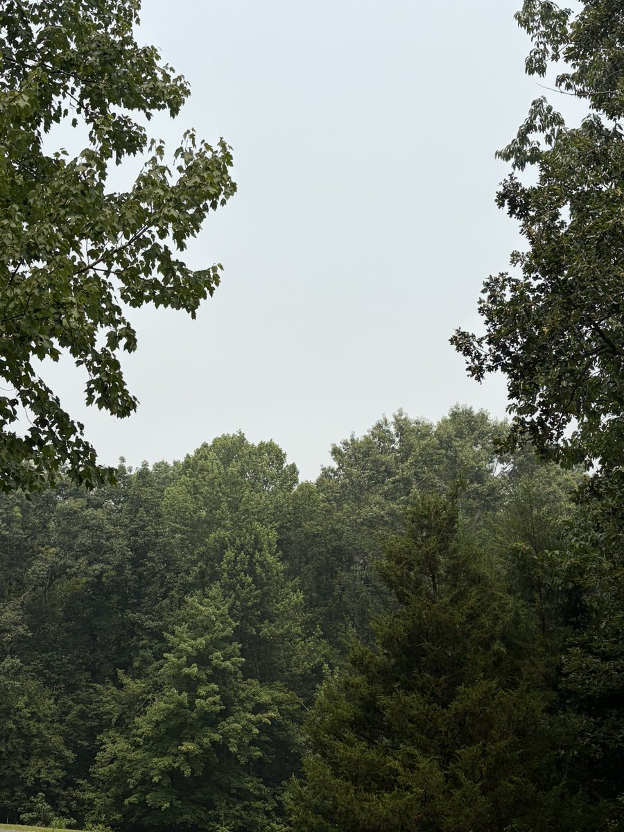 theGavinWhiteWX's tweet photo. Can see *and smell* the smoke in Virginia today. Sky is milky white, and everything is hazy beyond 50 feet. Crazy times! https://t.co/lnavmIofSF