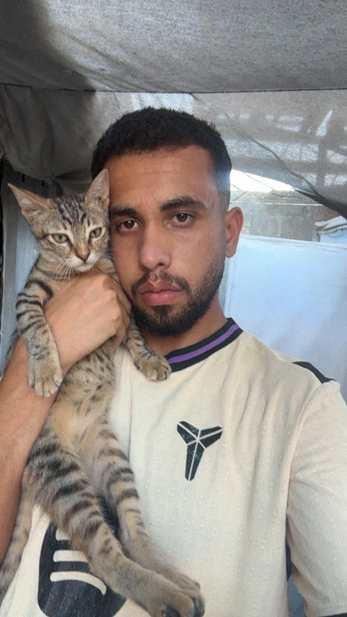 Mo7mmd30's tweet photo. After a terrifying night filled with fear in Gaza, as Israeli military vehicles advanced toward us, my cats and I survived.🇵🇸 https://t.co/w9tTsqDt43